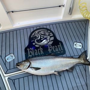 Black Pearl Sport Fishing and Salmon from Michigan
